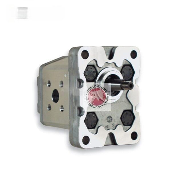 1P D 1.6 I 1P D 16 KA 1P D 2 KA 1P D 2,5 KA 1P D 3,3 KA 1P D 4,2 KA 1P D 5 KA 1P D 5,8 KA 1P D 6,7 KA 1P D 7,5 KA 1P D 9,2 KA 1P D 11,5 KA Шестерной насос MARZOCCHI